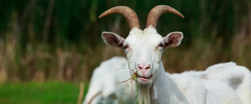 fabrication locale près de Luzech