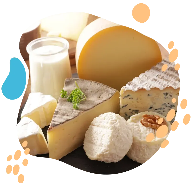 Fabrication de produits laitiers à Cahors