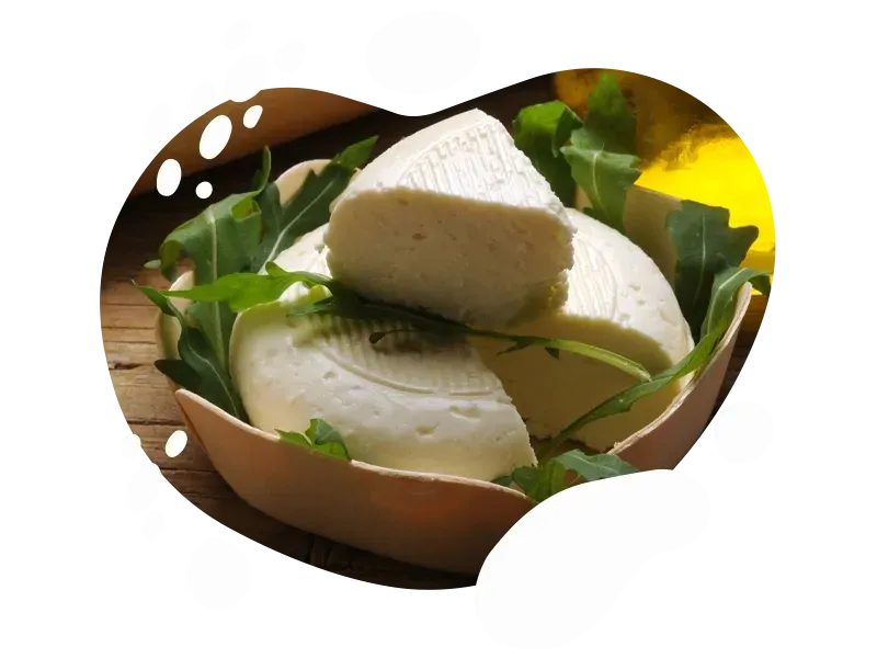 fromages au lait de chèvre à Cahors