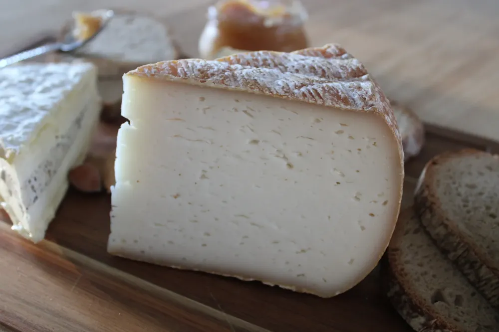 tomme près de Luzech